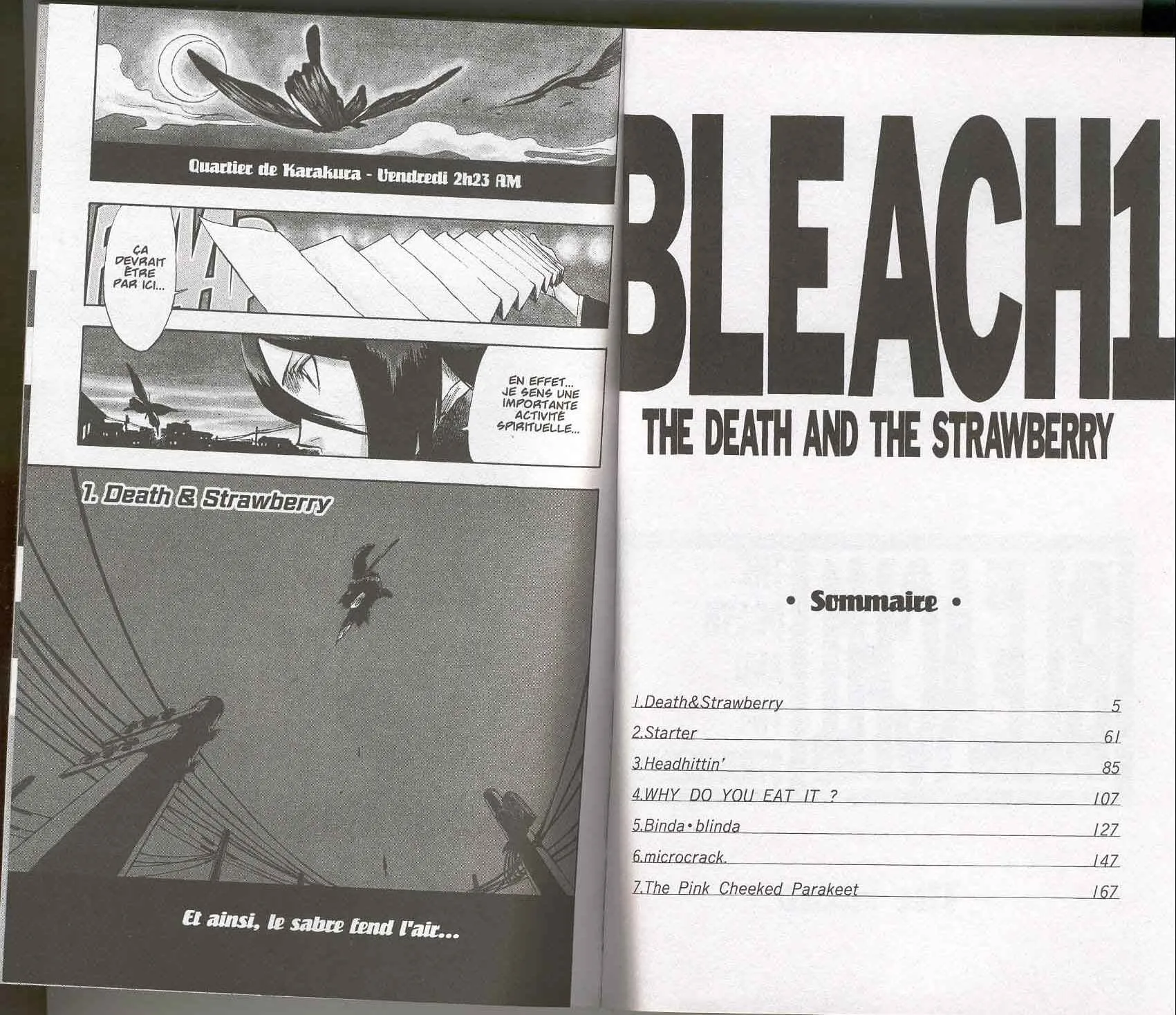 Bleach - 1 - 65514ab95e26d.webp