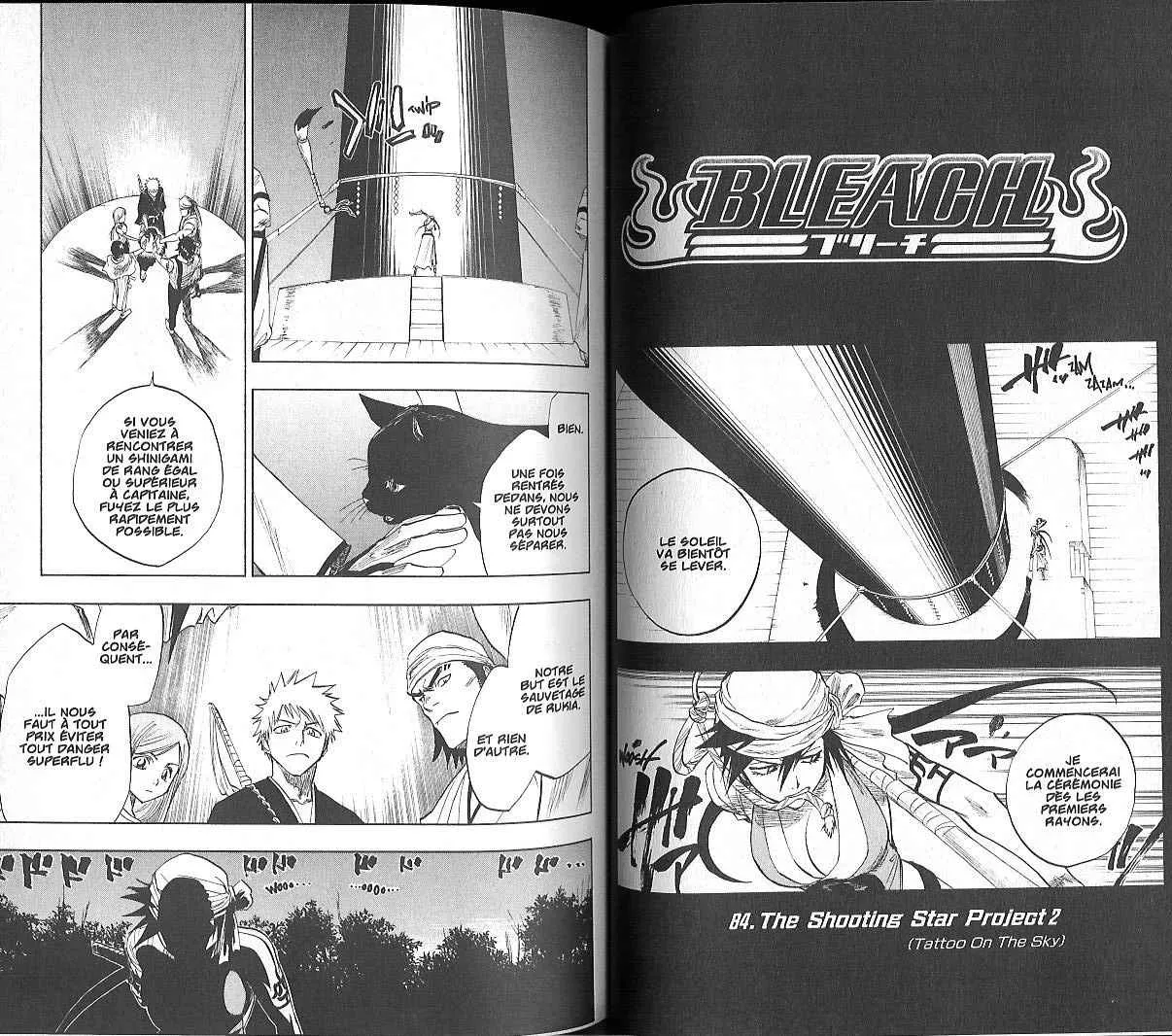 Bleach - 10 - 65514af0d75b2.webp