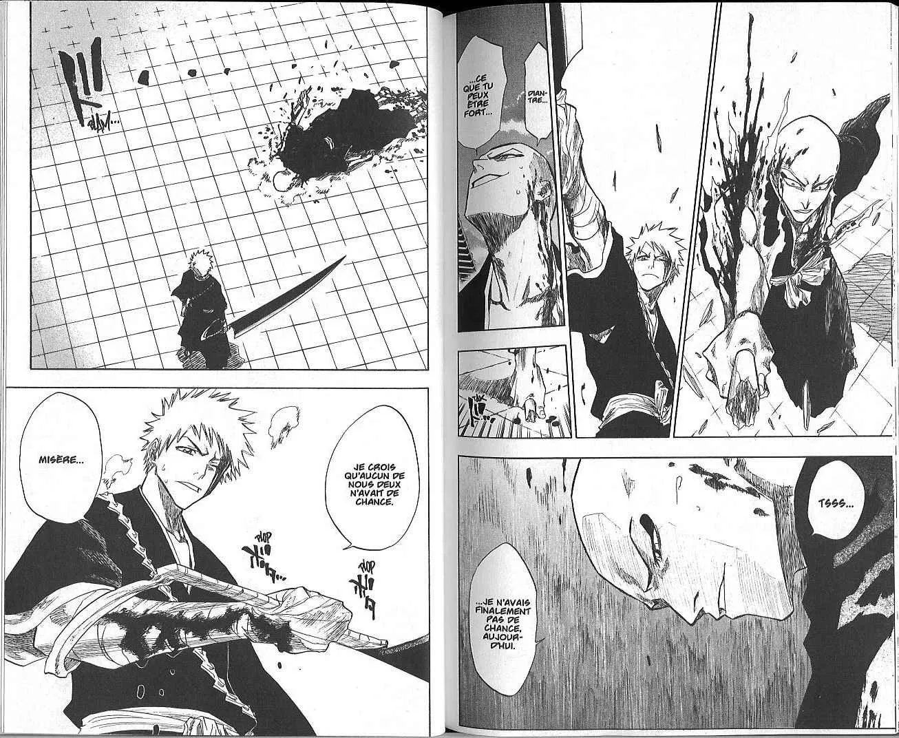 Bleach - 10 - 65514aff9044d.webp