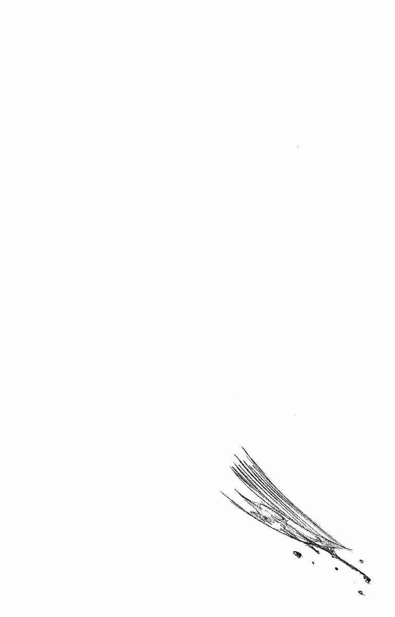 Bleach - 11 - 65514b21b9952.webp