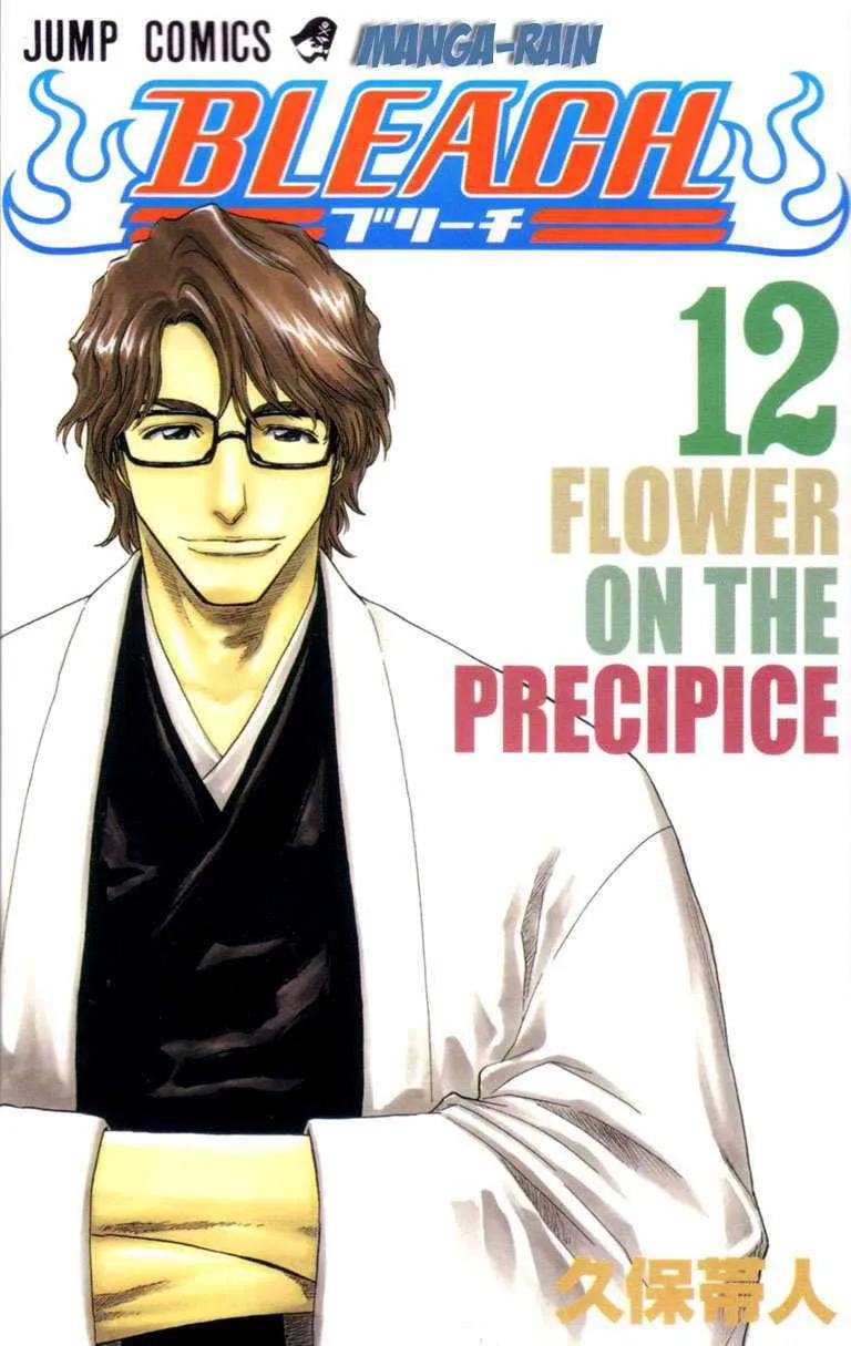 Bleach - 12 - 65514b483a1f6.webp
