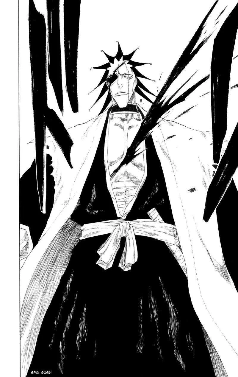 Bleach - 13 - 65514b4e38f61.webp