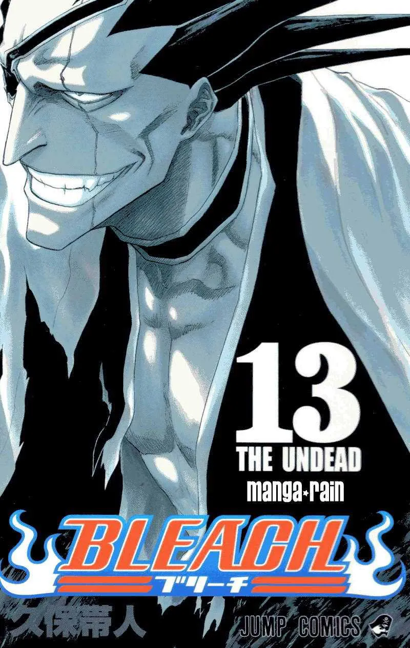 Bleach - 13 - 65514b69c9192.webp