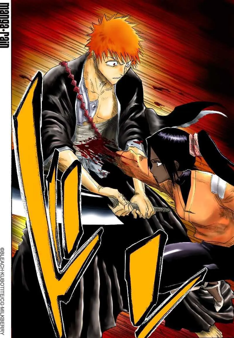 Bleach - 14 - 65514b7951d7f.webp