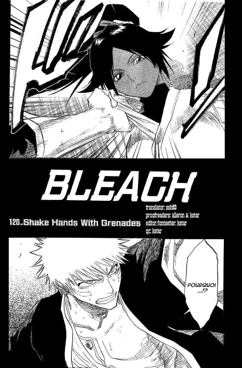 Bleach - 14 - 65514b7eea438.webp