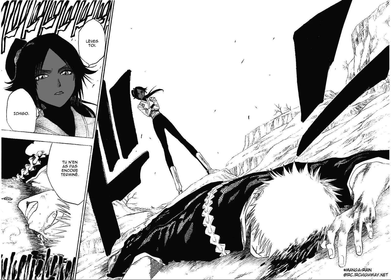 Bleach - 15 - 65514b99981fc.webp