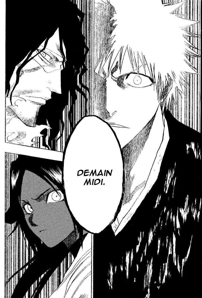 Bleach - 16 - 65514bae33531.webp
