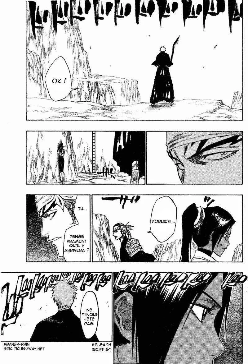 Bleach - 16 - 65514bbddf04f.webp