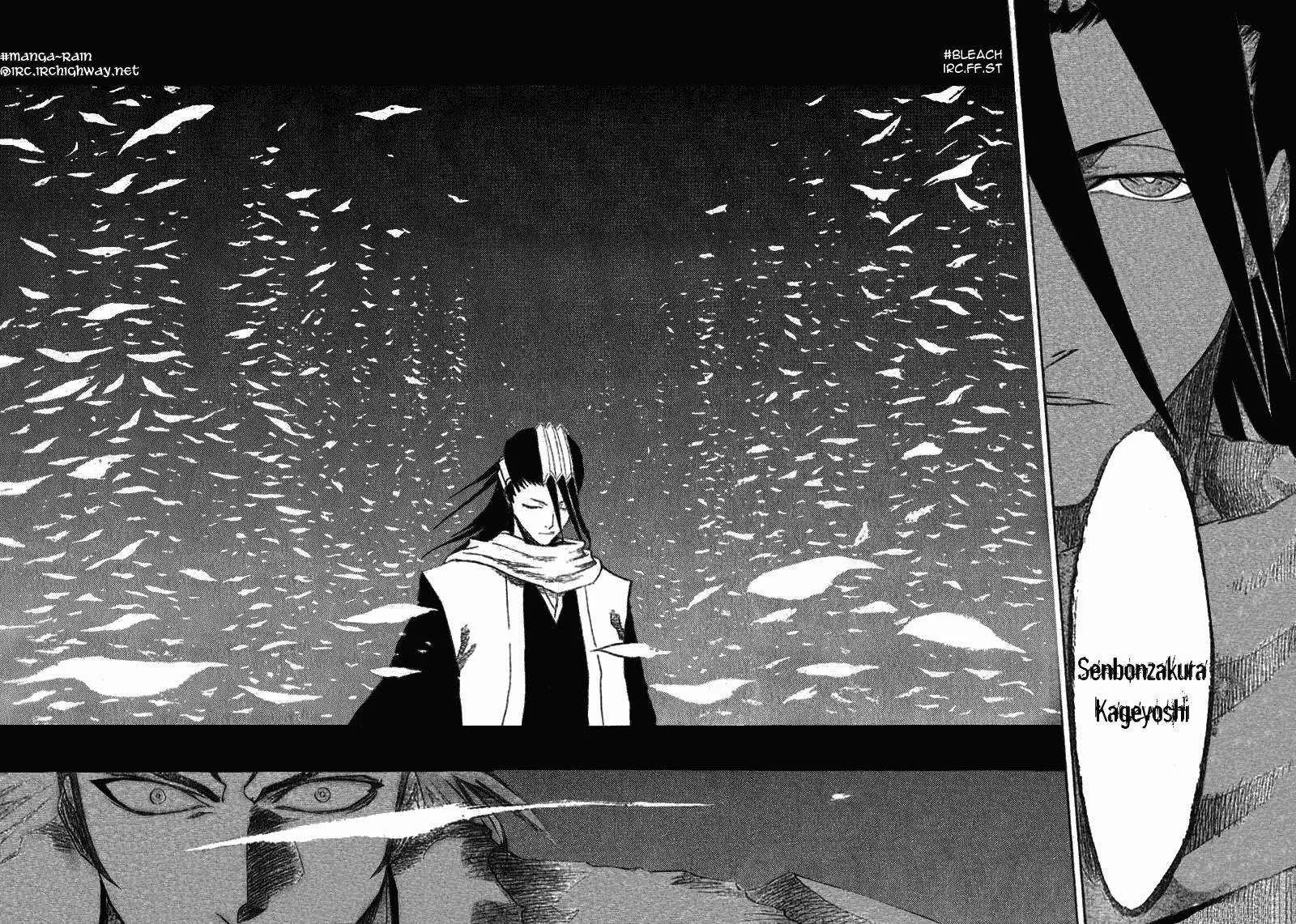 Bleach - 16 - 65514bd2d5608.webp