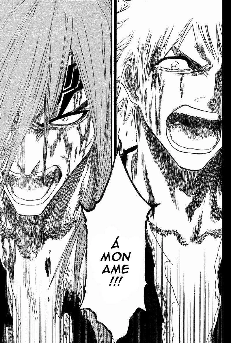Bleach - 17 - 65514bebedd9f.webp