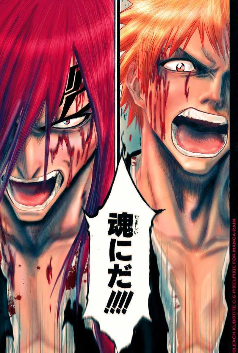 Bleach - 17 - 65514bec24ac0.webp