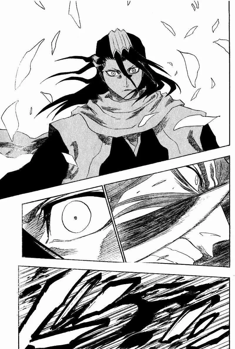 Bleach - 17 - 65514bec87f70.webp