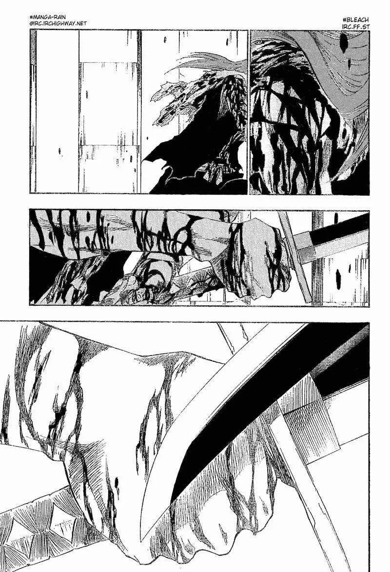 Bleach - 17 - 65514bed9b13c.webp