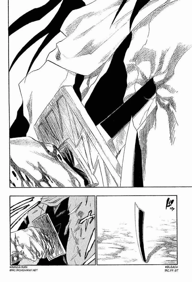 Bleach - 17 - 65514bedc7e9e.webp