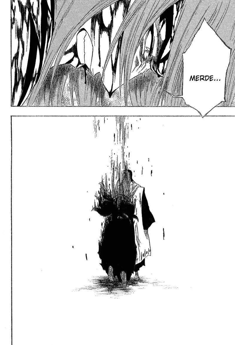 Bleach - 17 - 65514beea427f.webp