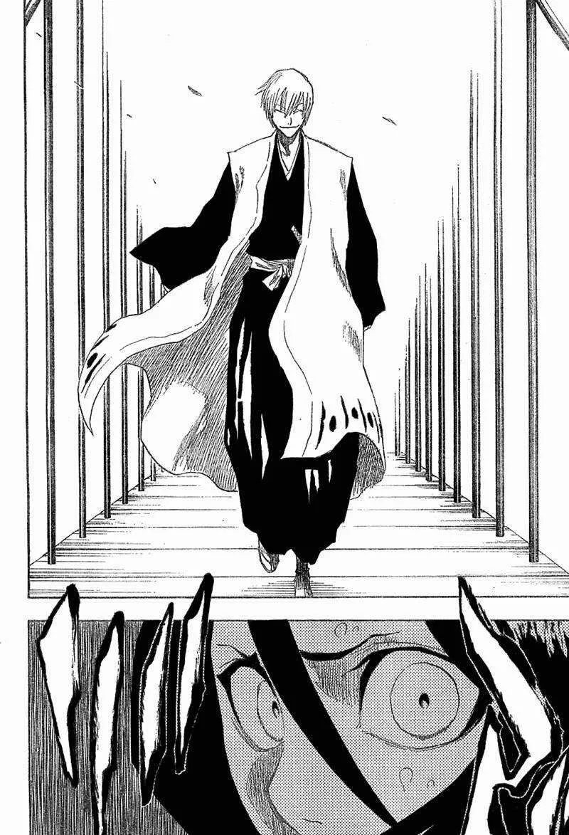 Bleach - 17 - 65514bf02d566.webp