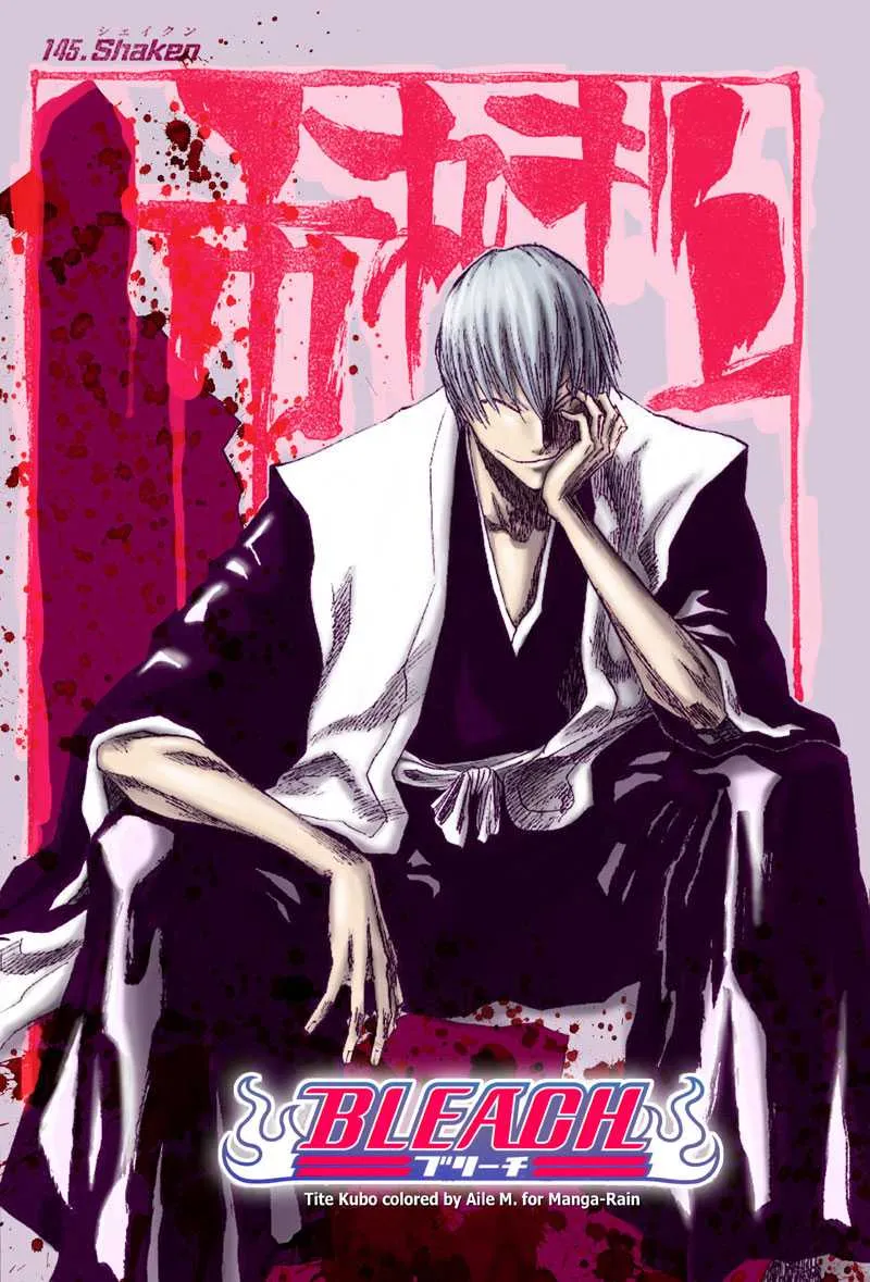 Bleach - 17 - 65514bf1515ae.webp