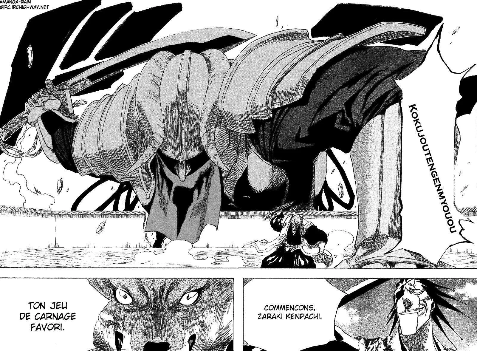 Bleach - 17 - 65514c005ecb1.webp