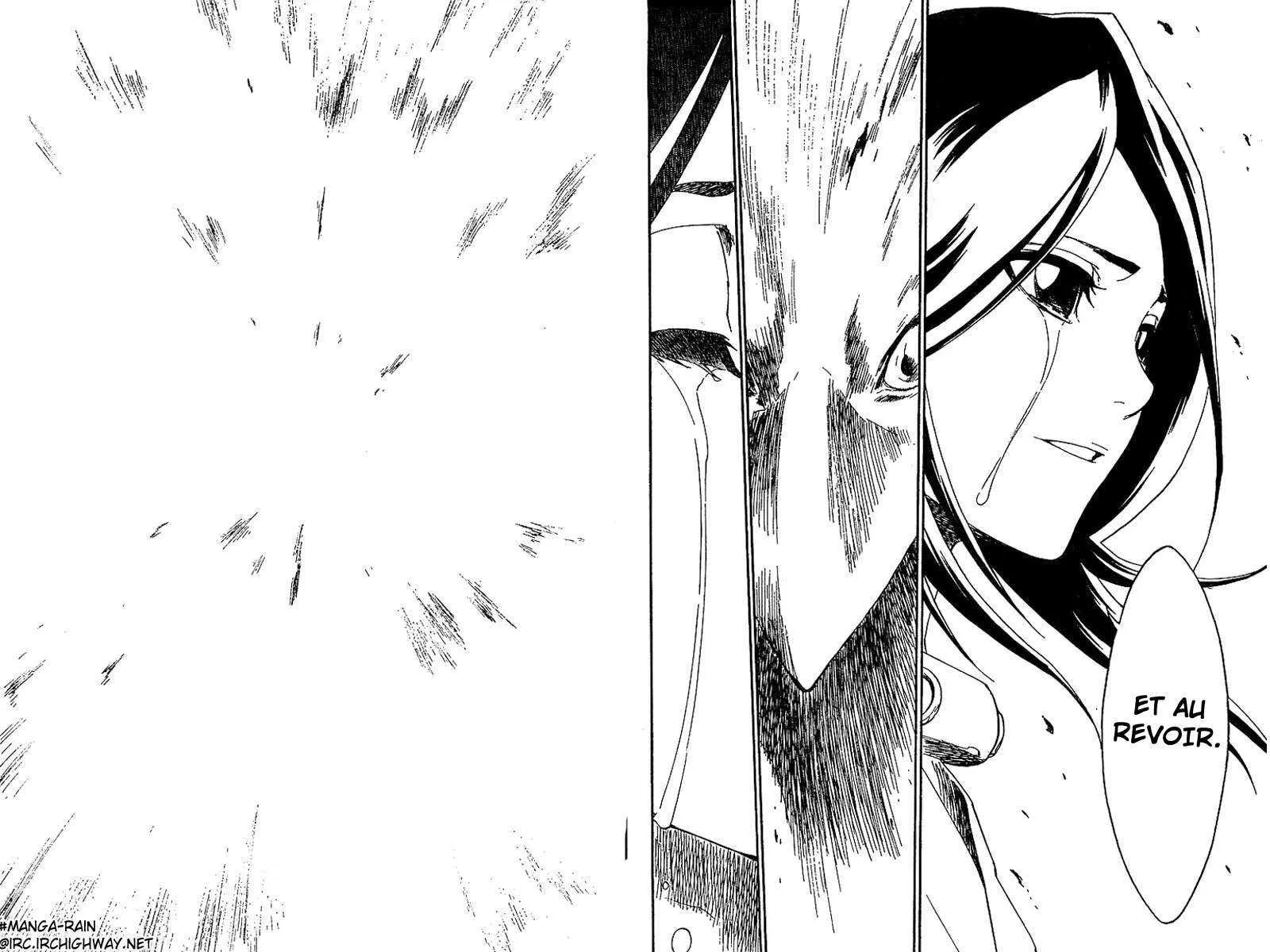 Bleach - 18 - 65514c08b4f72.webp