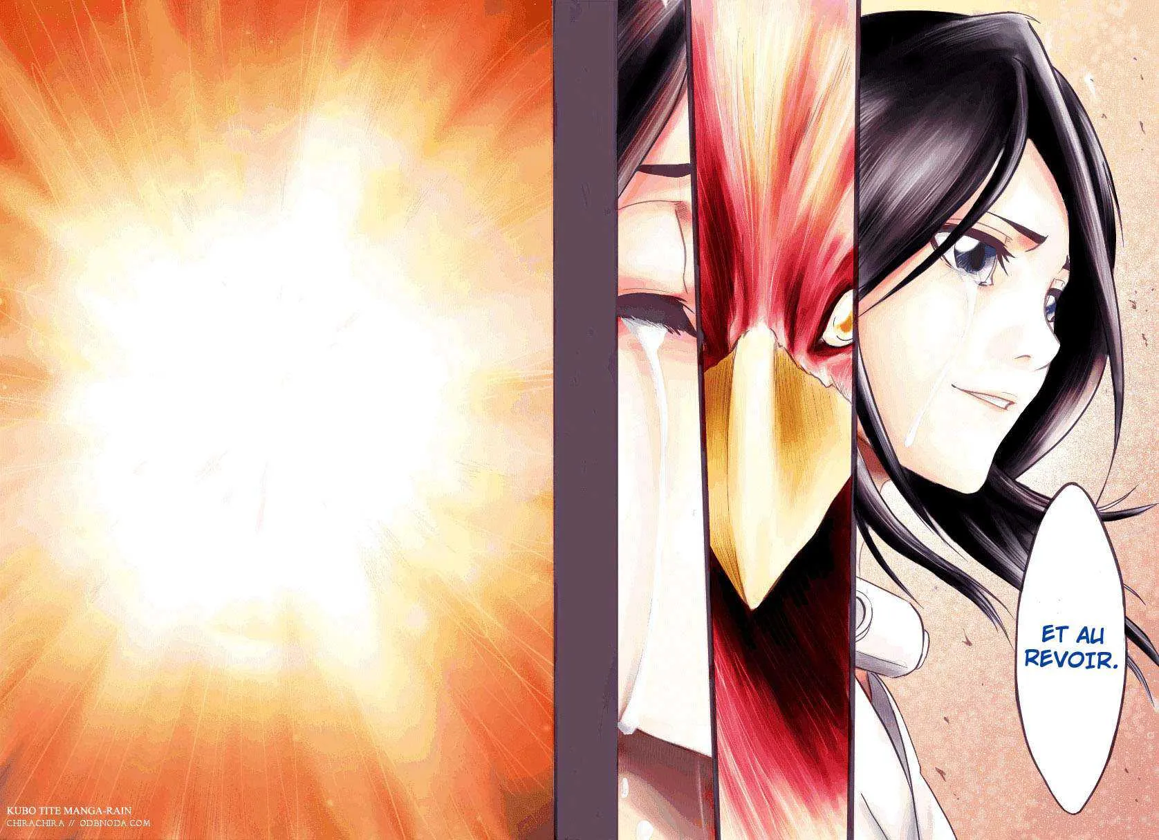 Bleach - 18 - 65514c0923d87.webp