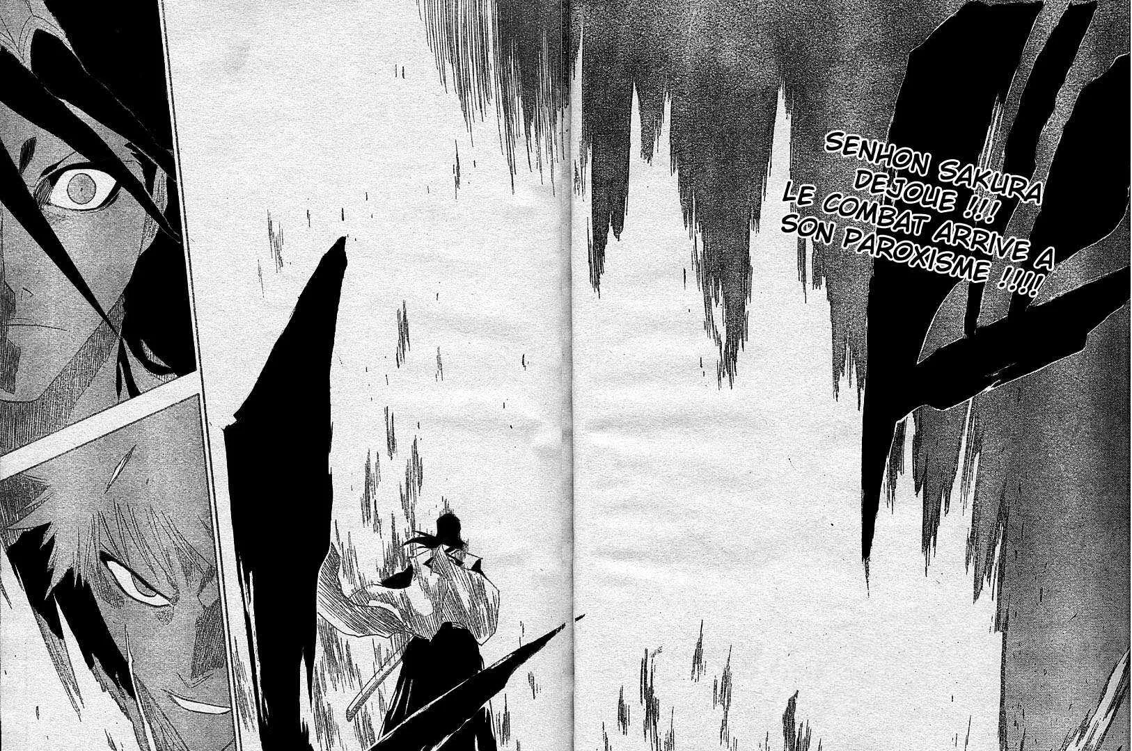 Bleach - 19 - 65514c2f37450.webp