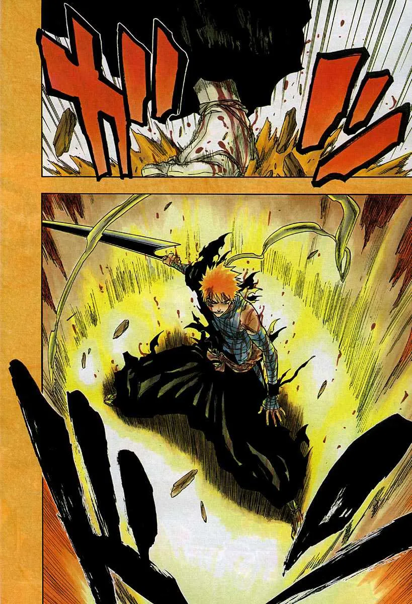 Bleach - 19 - 65514c3431dfd.webp