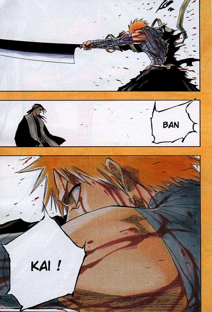 Bleach - 19 - 65514c34cb91a.webp
