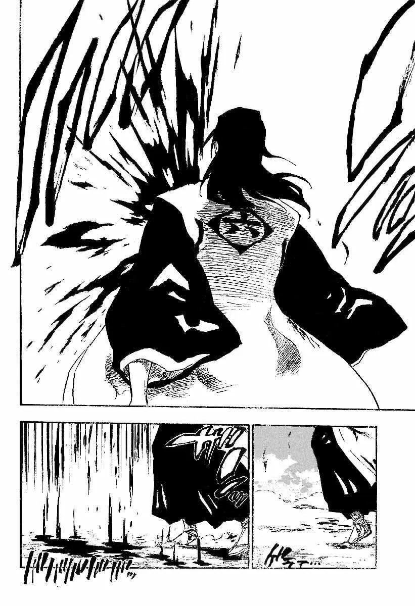 Bleach - 19 - 65514c470b355.webp