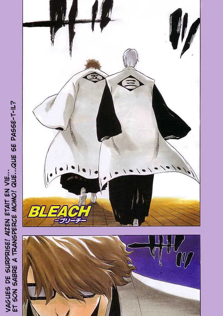 Bleach - 20 - 65514c7cc6872.webp