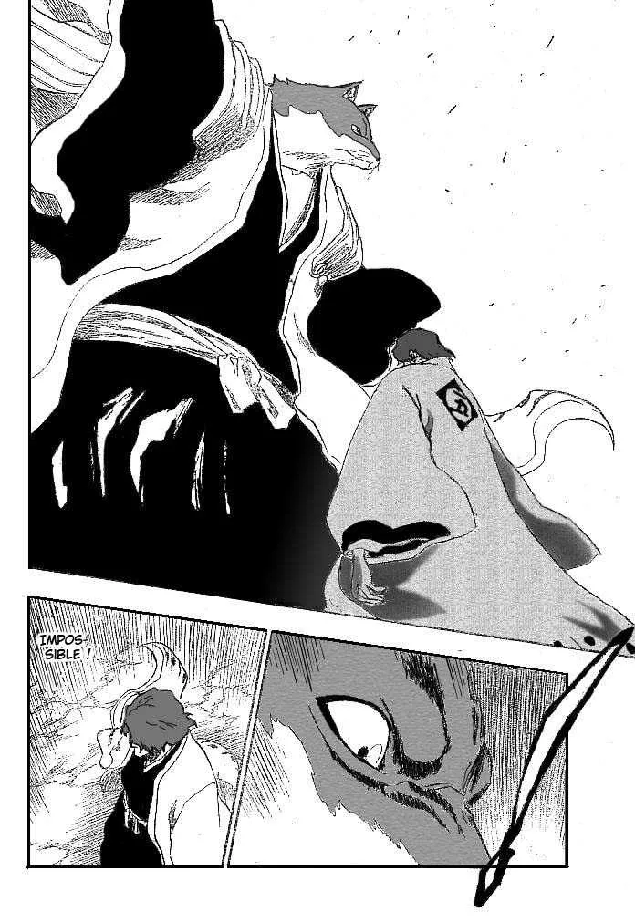 Bleach - 20 - 65514c954533d.webp