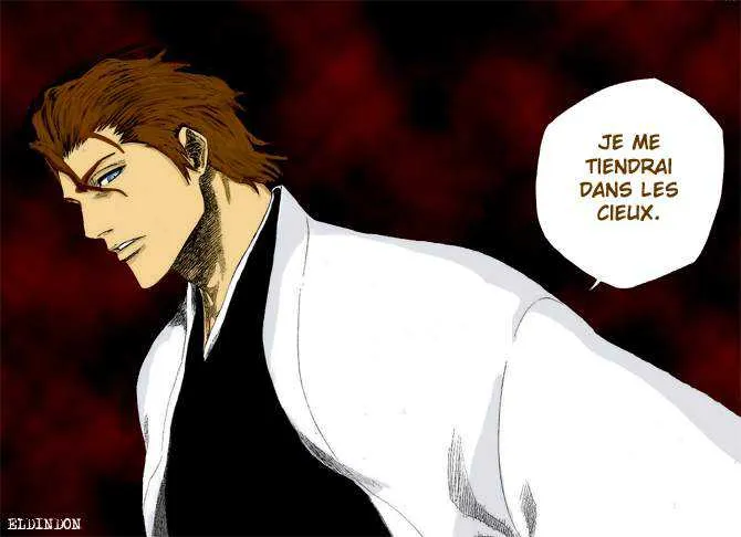 Bleach - 20 - 65514c9e1996b.webp