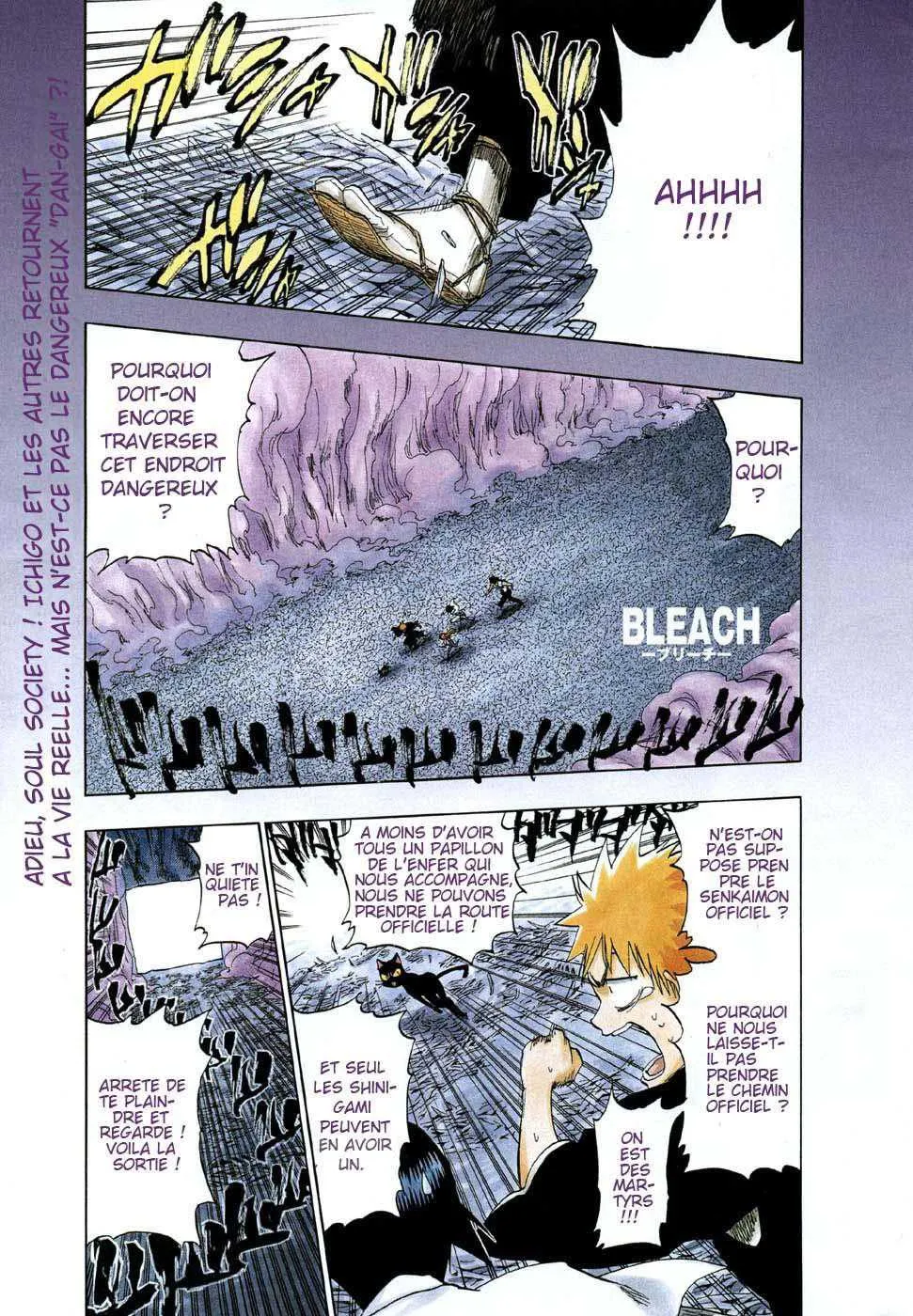 Bleach - 21 - 65514cabdb8f6.webp