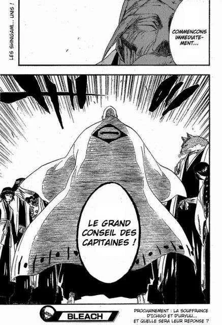 Bleach - 22 - 65514cc2e8258.webp