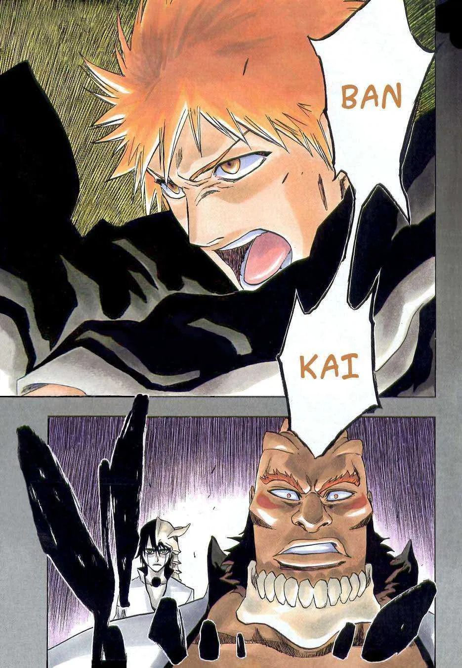 Bleach - 22 - 65514cd12e06c.webp