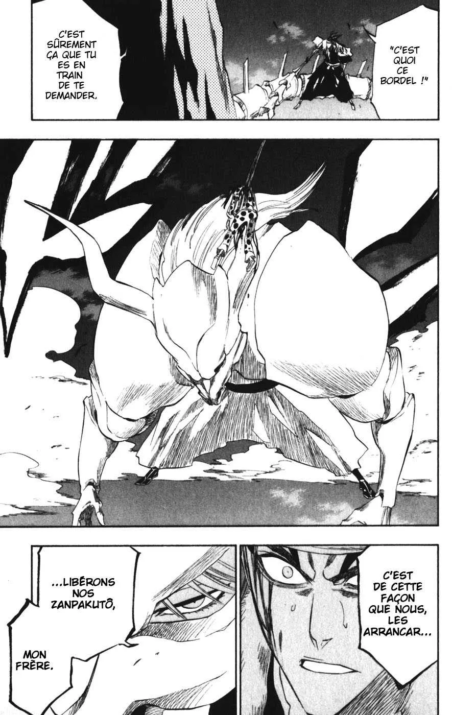 Bleach - 24 - 65514d13c5fac.webp