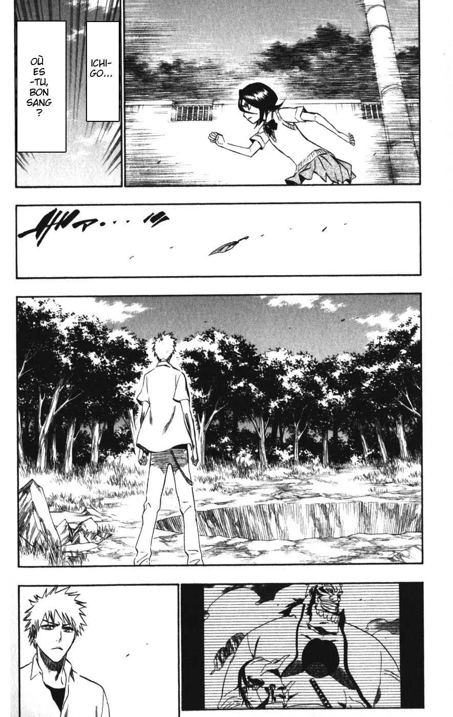 Bleach - 24 - 65514d32ed387.webp