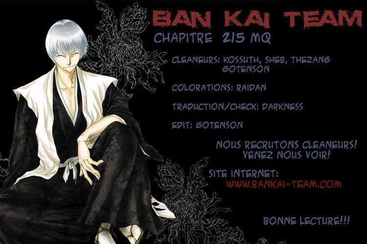 Bleach - 25 - 65514d389aaa8.webp