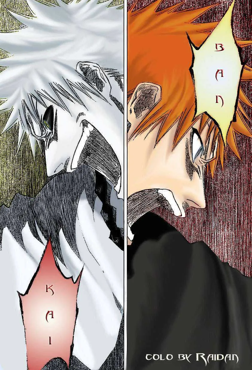 Bleach - 25 - 65514d453de5c.webp