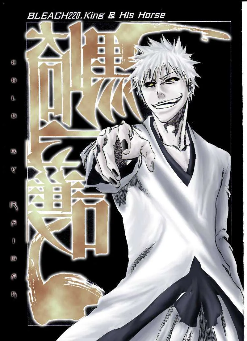 Bleach - 25 - 65514d4a25da5.webp