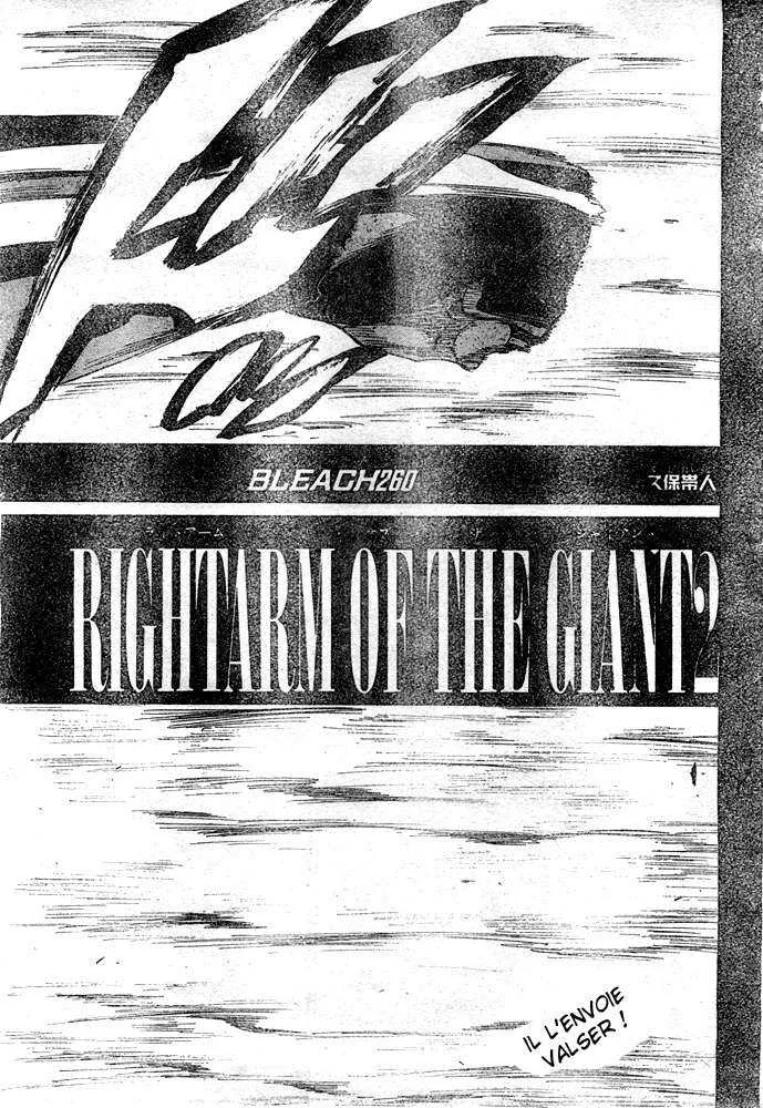 Bleach - 29 - 65514ddb45064.webp