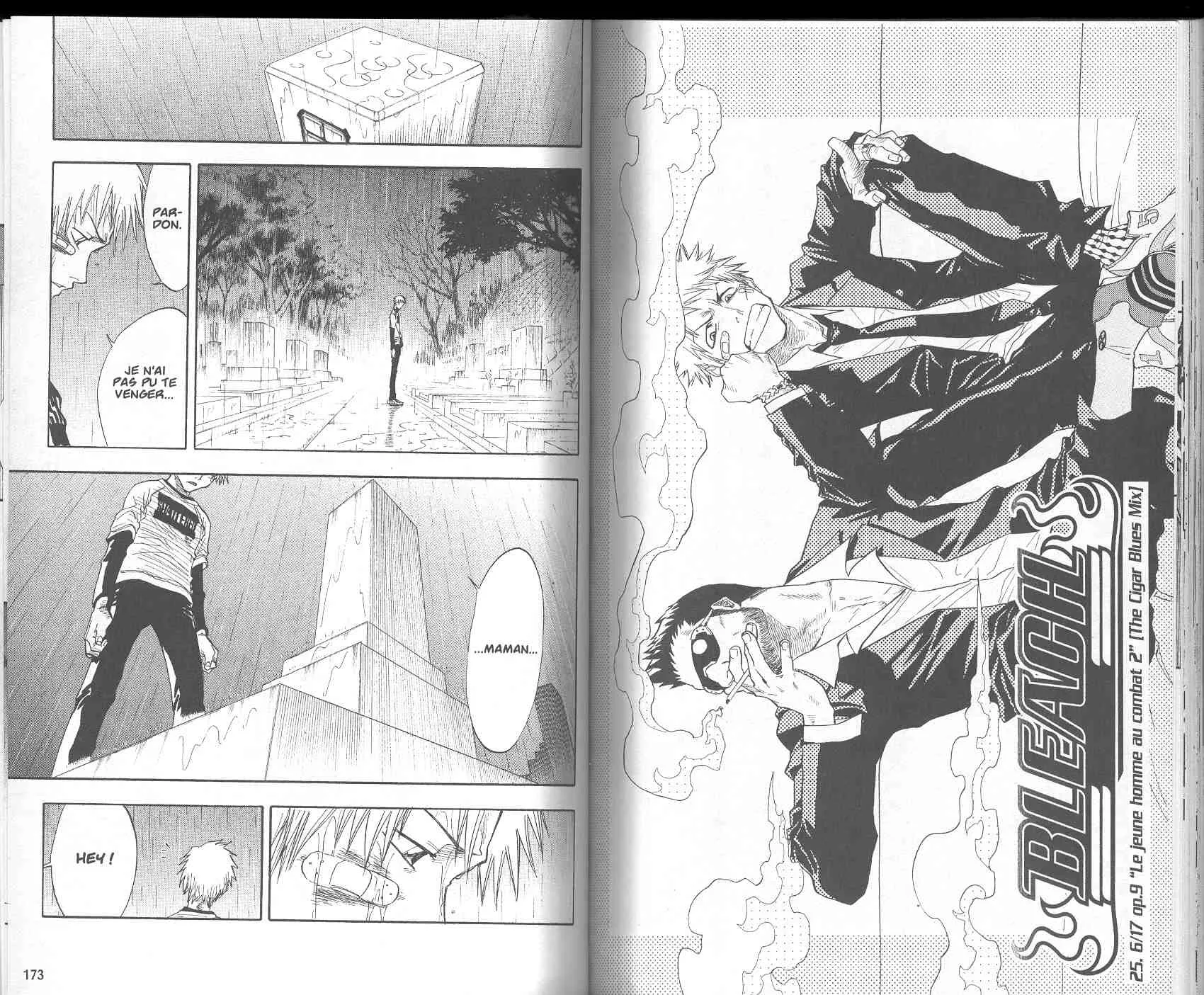 Bleach - 3 - 65514e04c83c8.webp
