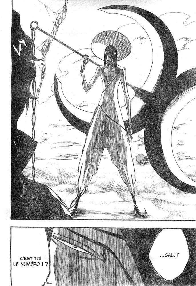 Bleach - 30 - 65514e099a7f2.webp