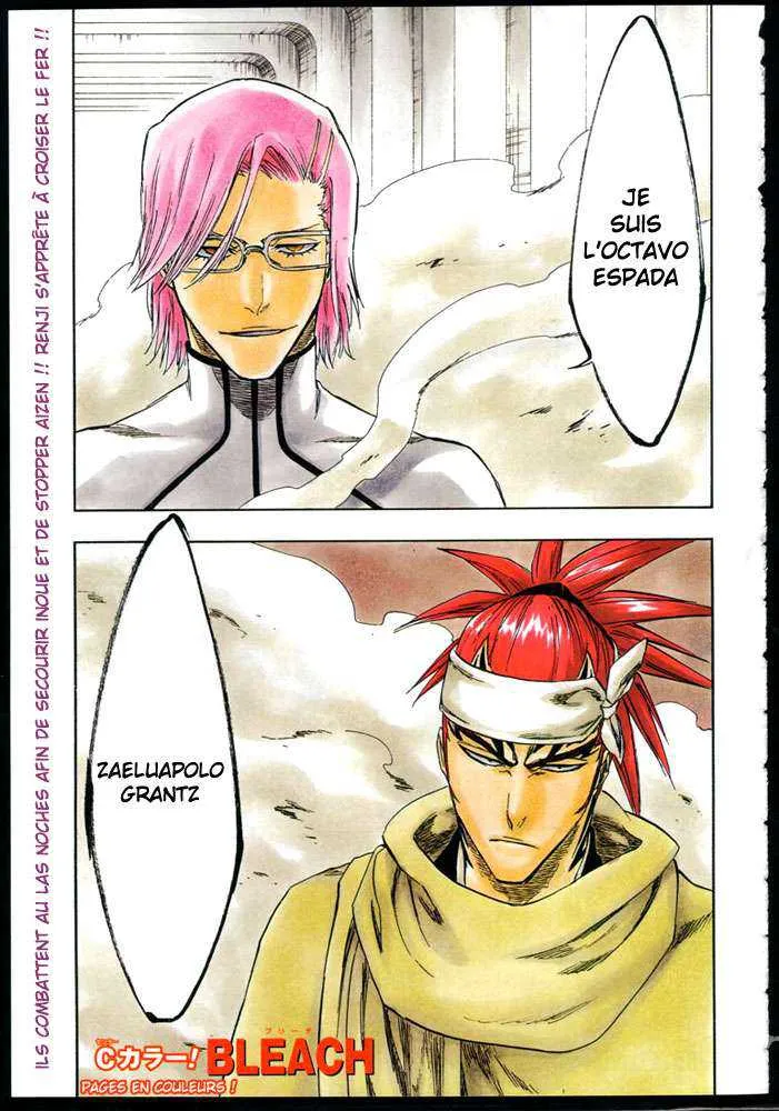 Bleach - 30 - 65514e13aa5e2.webp