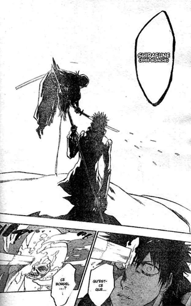 Bleach - 30 - 65514e208d140.webp