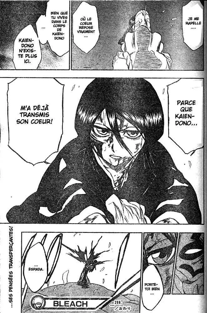 Bleach - 30 - 65514e20b6d80.webp