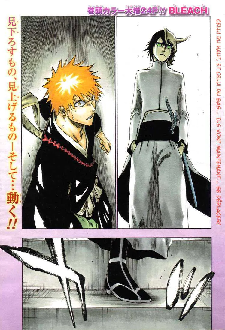 Bleach - 31 - 65514e23b840b.webp