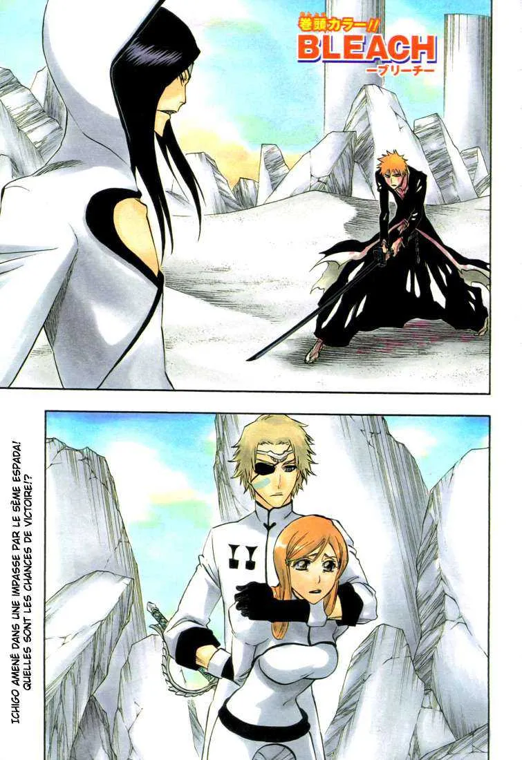 Bleach - 33 - 65514e5f56a2e.webp