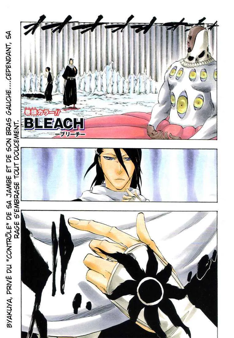 Bleach - 34 - 65514e86dd592.webp