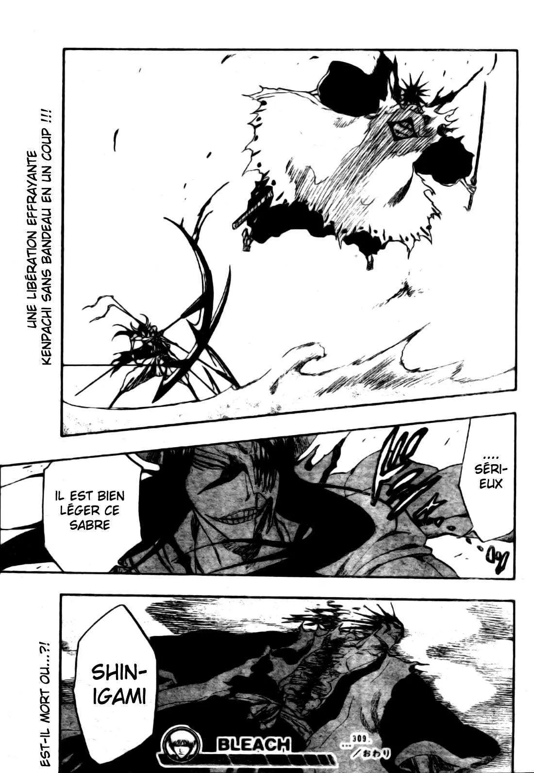 Bleach - 35 - 65514ea4bd72c.webp