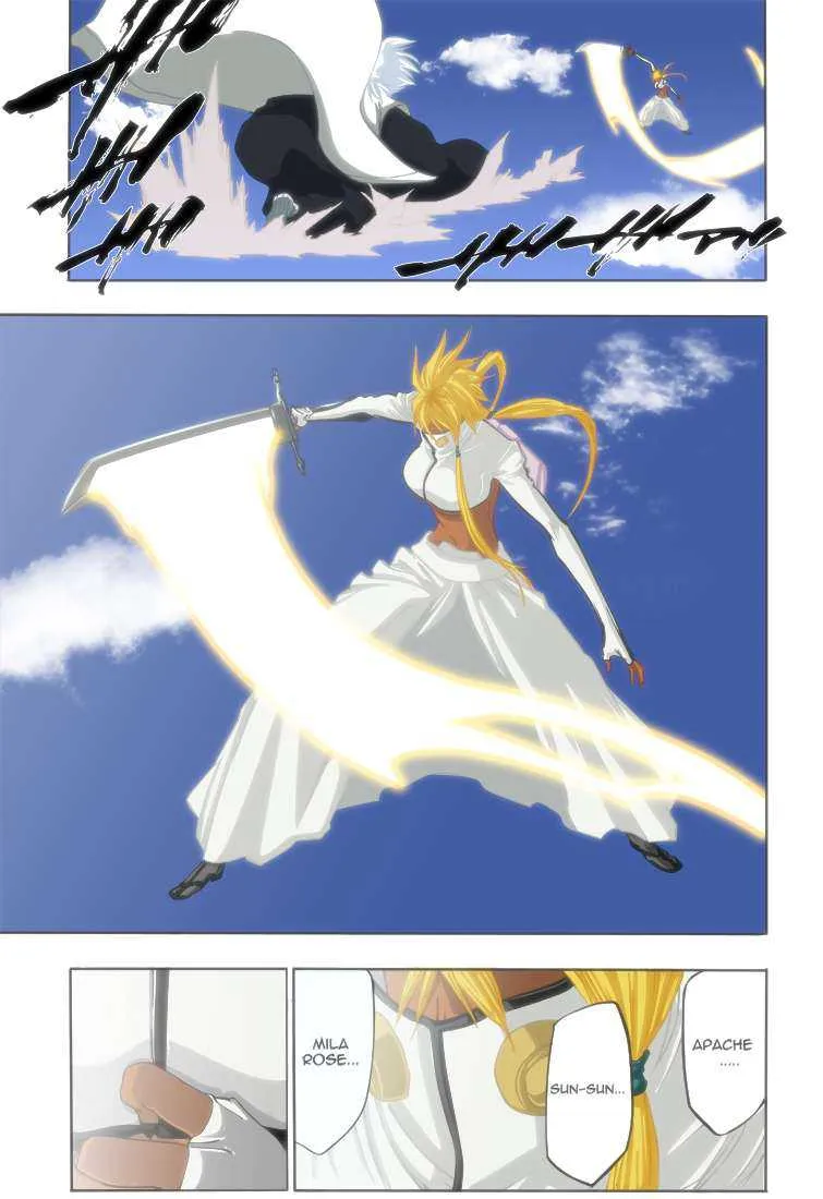 Bleach - 39 - 65514f2ca9f1d.webp